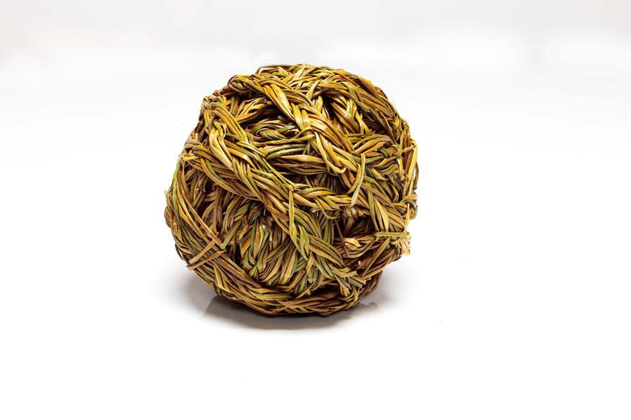 Autores: Leopoldo Pizarro y Luisa Caro