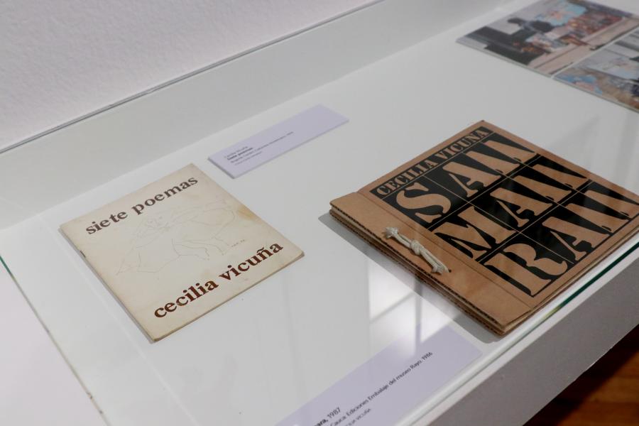 Detalle exposición &quot;Soñar el agua&quot; de Cecilia Vicuña en el MNBA