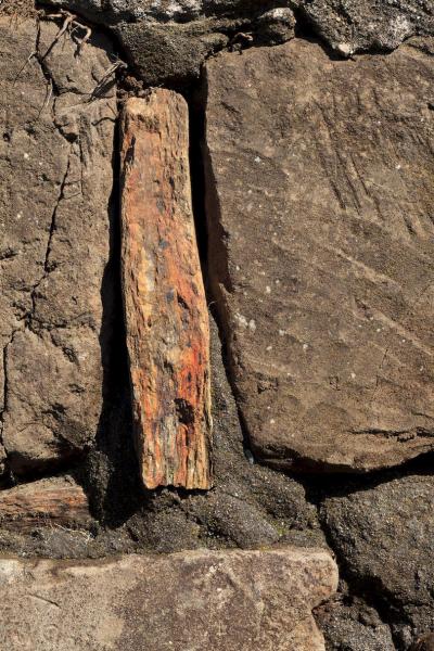 Cancagua (sandstone)