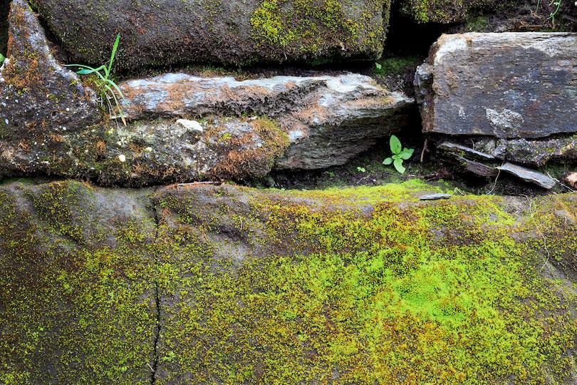 Stone