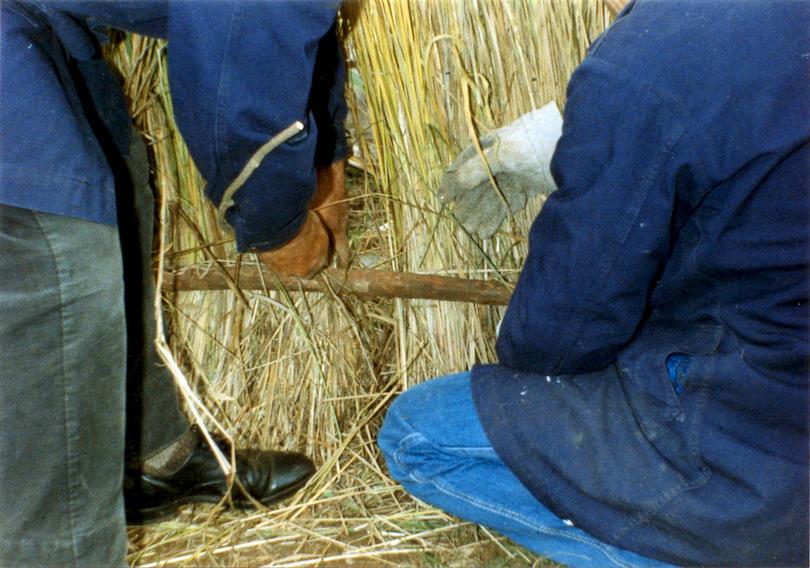 Start of the process of covering the wood structure with straw Start of the process of covering the wood structure with straw