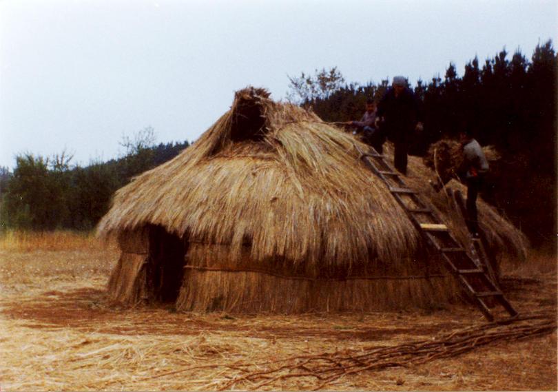 Thatching the roof Thatching the roof