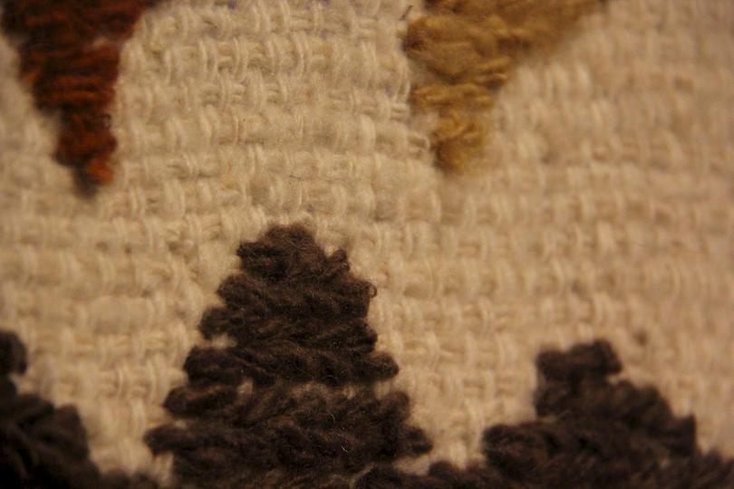 Rug of Chiloé (detail)