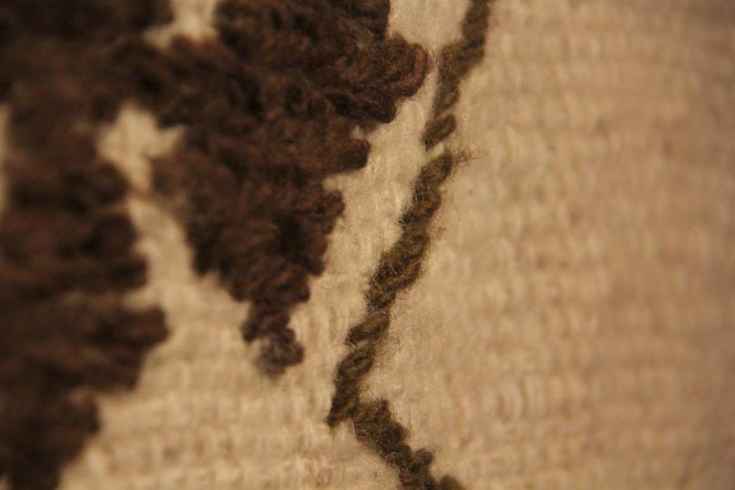 Rug of Chiloé (detail)