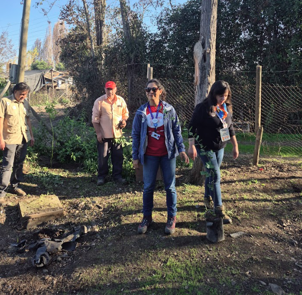 Equipo de Oficina Técnica en arborización de Gruta de Lourdes