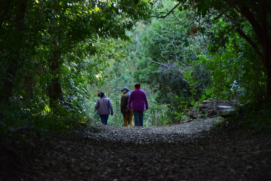 2019. Catalina Vera Rubilar.