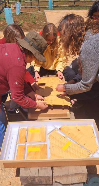 Por del Villar C.R.(5-noviembre 2024). Archivo CMCP.