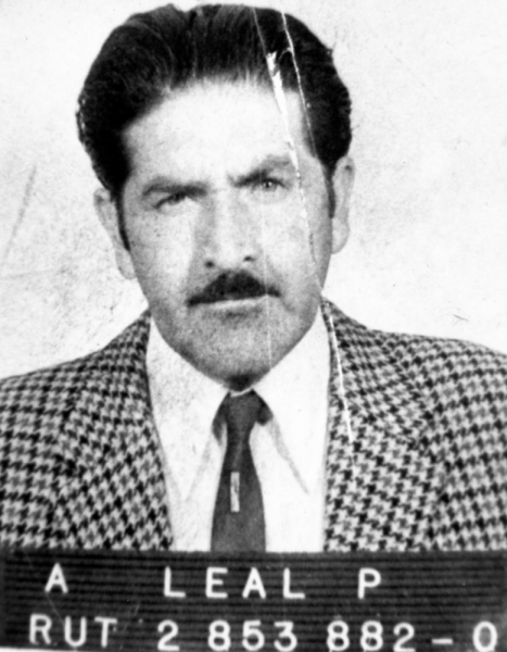 Comité Derechos Humanos