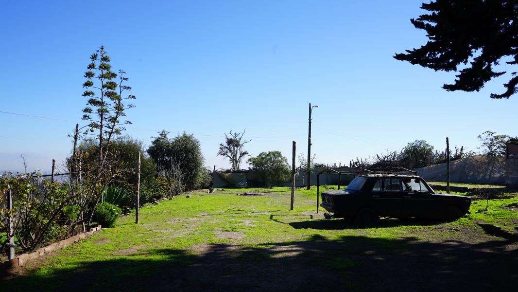 Patricio Arias Castillo, 2024.