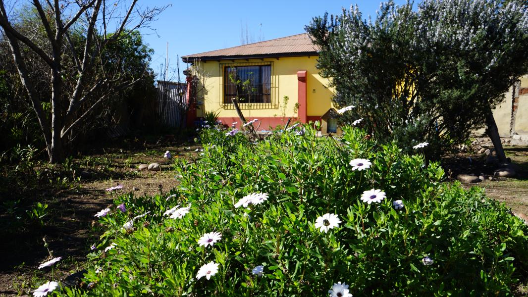 Patricio Arias Castillo, 2024.