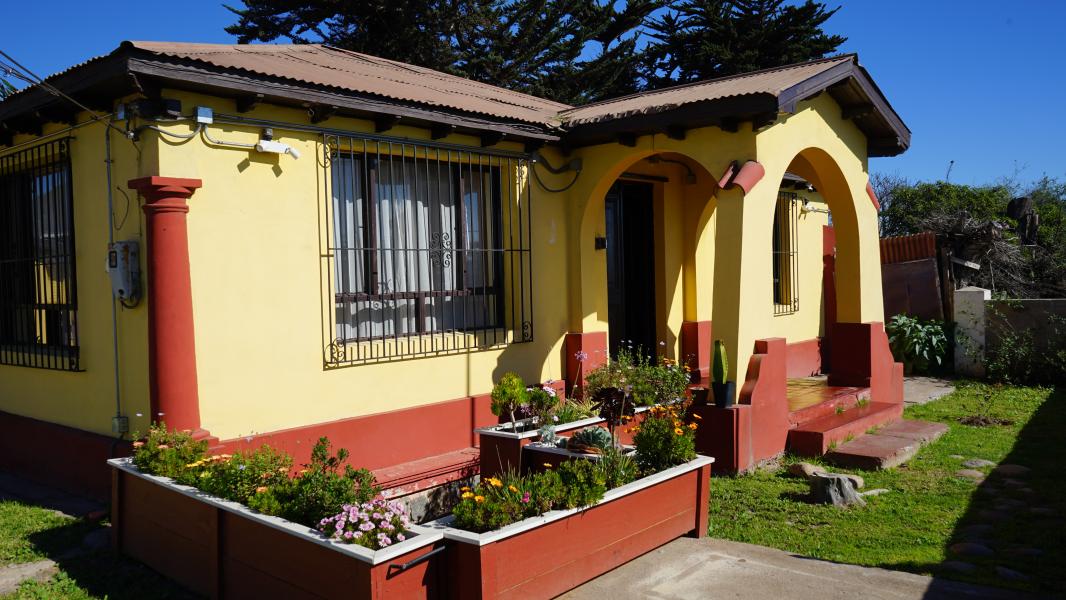 Patricio Arias Castillo, 2024.