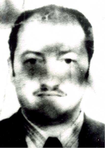 Comité Derechos Humanos