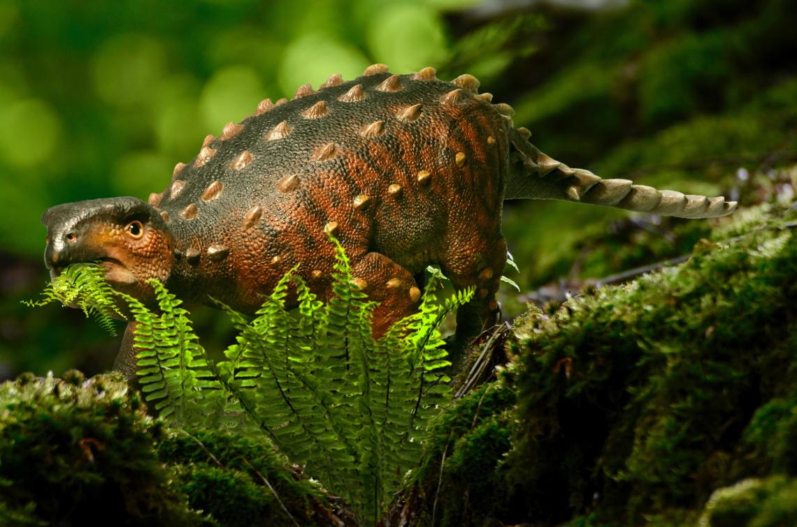 Reconstrucción artística de la apariencia en vida de la nueva especie Stegouros elengassen. Imagen del Paleoartista Lucas Jaymez, @dinoesculturas. Reconstrucción artística de Stegouros elengassen