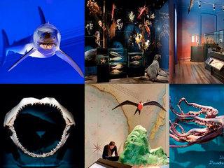 Biodiversity in the Valparaíso Region