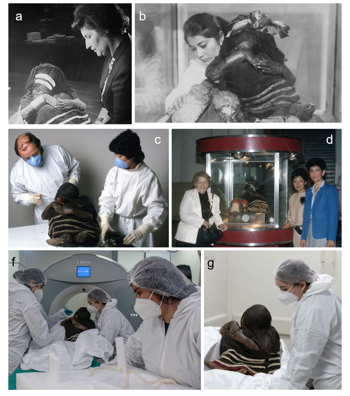 Figura a. Grete Mostny; b. Nieves Acevedo; c. Patrick Horne y Silvia Quevedo; d. De derecha a izquierda: Grete Mostny, Silvia Quevedo y Eliana Durán; e. De derecha a izquierda: Evelyn Sepúlveda, Verónica Silva y Ayelen Tonko; f. Verónica Silva.  